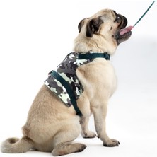 Aesco Patipatron Kaçış Önleyici Ayarlanabilir Küçük Irk ve Büyük Irk Köpek Göğüs Tasma Seti ve Gezdirme Ipi (Kamuflaj, M)