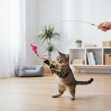 Aesco Bakgelal Balıklı Kedi Oyun Oltası 90 cm – Esnek Telli Tüylü Kedi Oyuncağı, Etkileşimli Eğlence Çubuğu