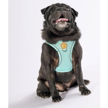 Aesco Pawstar Mint Air-Mesh Göğüs Tasması Kedi Köpek Göğüs Tasması Mint 3xs