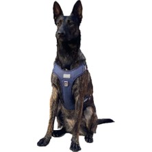 Aesco Cecepet Cool Walk Premium Köpek Göğüs Tasması S