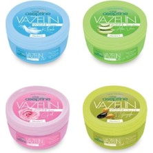 Aesco Cıre Aseptıne Cire Aceptine 4'lü Karma Paket Vazelin 150 ml X4