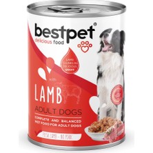 Bestpet Yetişkin Köpekler Için, Taze Kuzu Parça Etli ve Soslu Yaş Mama, 400 G x 12 Adet