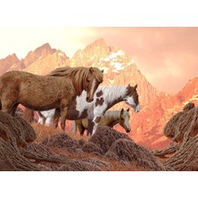 Aesco Nova Puzzle 1000 Parça - Vahşi Atlar