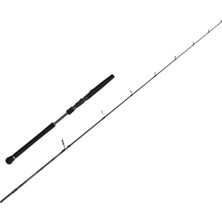 Aesco Savage Gear Defiance Sg2 Light Jig 1.80 Max 80 gr 1+1 Parça Olta Kamışı