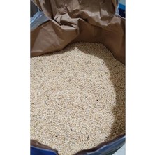Die Grup 1 kg Ak Darı Kuş Yemi