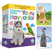 Aesco Circle Toys Dokun Hisset Yavru Hayvanlar