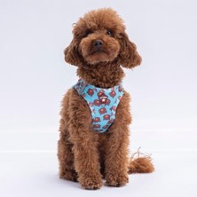 Die Grup Köpek Göğüs Tasması, Air-Mesh, L Beden, Konforlu Kullanım