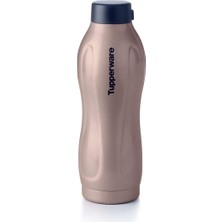 Aesco Tupperware Yalıtımlı Şişe Suluk ve Matara 550 ml