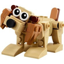 Aesco LEGO Creator 30666 Gift Animals