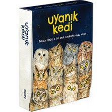 Aesco Iyikafa Uyanık Kedi – Eşleştirme Kart Oyunu | Baykuşları Eşleştir, Kediden Kurtul, Oyunu Kazan | 2-6 Oyuncu 6+ Yaş | Dikkat Odaklı Eğlence