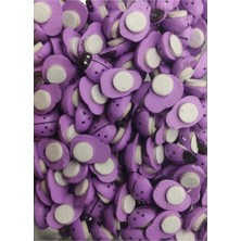 Aesco Esmay Yapışkanlı Uğur Böceği 12 mm 100ADET GNSRKFAZ2694