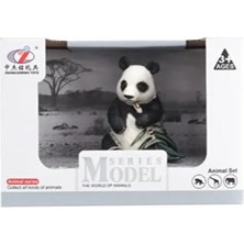 Aesco Kutulu Model Bambu Yiyen Panda