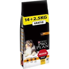 Die Grup Pro Plan Medium Adult Tavuklu Yetişkin Köpek Maması 16,5 kg