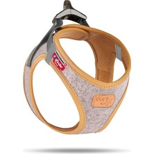 Die Grup Curlı Alpıne Curlı Clasp Vest Harness Lıght Gray M