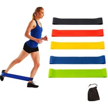 Aesco Egzersiz Için Direnç Döngüsü Egzersiz Bantları Kadınlar ve Erkekler Için Elastik Egzersiz Bandı Ev Spor Salonu Yoga Germe Kuvvet Antrenmanı Egzersiz Ekipmanları Temel Fitness Aksesuarları, 5'li Set