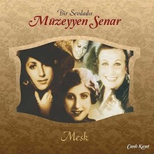 Die Grup Gereksiz Şeyler Müzeyyen Senar Meşk Plak
