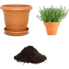 Die Grup Gardenbox Aromatik Dağ Kekik Tohumu, 10 Adet Ekim Seti, Toprak ve Saksı Dahil
