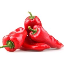Die Grup Közlemelik Kırmızı Biber Tohumu Tatlı Biber Tohumu 20 Tohum