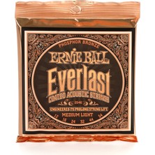 Aesco Ernie Ball Everlast Orta Hafif Kaplamalı Fosfor Bronz Akustik Gitar Telleri, Ölçü 12-54