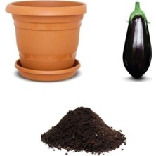 Die Grup Gardenbox Nadir Ithal Dev Patlıcan Tohumu, 10 Adet Ekim Seti, Toprak ve Saksı Dahil