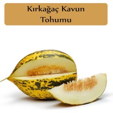 Die Grup Zencefil Organik Kırkağaç Kavun Tohumu 1 Paket (10GR=300+ Adet) Kırk Ağaç Kavun Tohumu