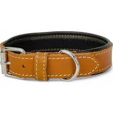 Die Grup Canini Collar Rainbow S Hakiki Deri Orta & Küçük Köpek Tasması – S Beden, Orta ve Küçük Köpekler Için Tasma, Yumuşak Iç Deri, Krom Kaplamalı Toka & D-Halka, 10 Farklı Renk Seçenekleri (Taba)