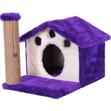 Die Grup Mio Kedi Tırmalama, Home, Mor