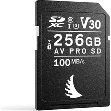 Die Grup Angelbird Av Kartı Pro Sd V30 256 GB