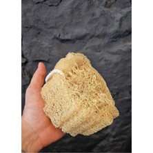 Die Grup Doğal Kabak Lifi Bulaşık Süngeri Banyo Kesesi Loofah Sponge Ipli Kabak Kesesi Kalın Büyük Parça