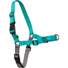 Die Grup Petsafe Easy Walk No-Pull Köpek Göğüs Tasması, Çekmeyi Önlemeye Yardımcı, Kontrolü Ele Alın ve Tasmayla Daha Iyi Yürümeyi Öğretin, Large, Sarımsı Turkuaz/gri