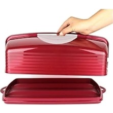 Die Grup Tupperware Pasta Faunusu.