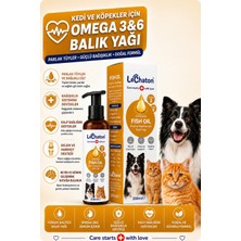Die Grup Kediler ve Köpekler Için Balık Yağı 200ML Omega 3 ve 6 Takviyesi Tüy ve Cilt Sağlığı Destekleyici