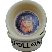 Die Grup Raccoon Olimpos Serisi Apollon Seramik Mama ve Su Kabı 300ML