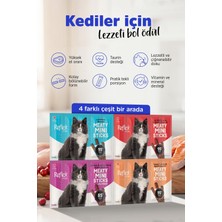 Die Grup Reflex Plus Meaty Mini Sticks Kedi Ödül Maması 5 Adet x 2 gr x 4 Çeşit