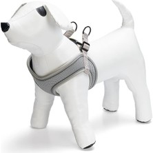 Die Grup Beeztees Köpek Göğüs Tasması, Neopren, Yeşil, S, 38-44CM