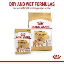 Die Grup Royal Canin Pomeranian Yetişkin Köpek Konservesi 85 Gram