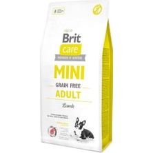 Die Grup Brit Care Adult, Minik Irk - Yetişkin Köpekler Için, Tahılsız, Hipoalerjenik Kuzu Etli Kuru Mama, 2 kg
