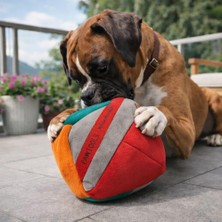 Die Grup Pawtools Zeka Küpü Jumbo – Köpek Zeka Oyuncağı – Interaktif Koklama Oyunu – Büyük Irklar Için (Gri)