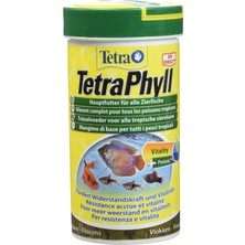 Die Grup Tetra Phyll Bitkisel Pul Yem 250 ml 52 gr