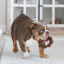 Die Grup Nylabone Power Chew Toys Müşteri Favorileri Paketi - Agresif Çiğneme Için Köpek Oyuncakları, Büyük Köpekler Için 3 Şekil ve Tatta Yıkılmaz Köpek Oyuncakları - Lezzet Karışık, Büyük/dev (3 Sayı)