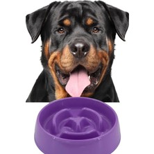 Die Grup Mobee Evcil Hayvan Yavaş Mama Yeme Kabı Yavaş Besleyici Kedi Köpek Mama Kabı Küçük Boy 175 ml 1450