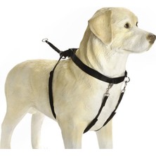 Die Grup Beeztees Köpek Yürüyüş Eğitim ve Düzeltme Tasması, Xl