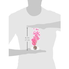 Die Grup Biorb Bonsai Topu Pembe