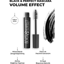 Die Grup Alıx Avıen Black & Perfect Mascara - Hacim Veren Etkisiyle Kıvrımlı Kirpikler
