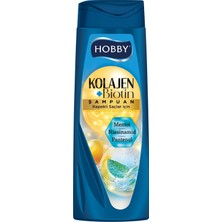 Die Grup Hobby Kolojen ve Biotin Şampuan Kepek ve Mentol 480