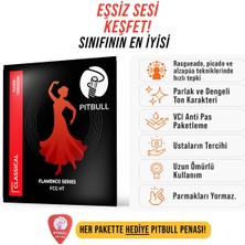 Die Grup Flamenco Seri Klasik Gitar Telleri | Parlak Ton, Yüksek Dayanıklılık, Profesyonel Nylon & Gümüş Kaplama Teller | Konser ve Stüdyo Için Ideal (Hard Tansiyon)