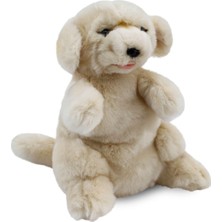 Die Grup Animals Of The World G. Retriever Kukla Peluş Oyuncak, Tüm Beden, 30CM