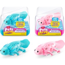 Die Grup Pets Alive Yüzme Robo Axolotl (2'li Paket) Zuru