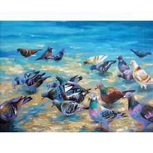 Die Grup Nova Puzzle 1000 Parça Plaj Güvercinleri - Nikolay Sivenkov