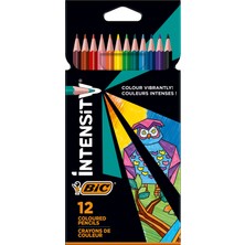 Die Grup Bic Evolution Üçgen Jumbo Kuruboya 12 Li